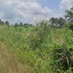6 Plots of Land for Sale | Ipo, Omagwa (Port Harcourt Airport Axis)